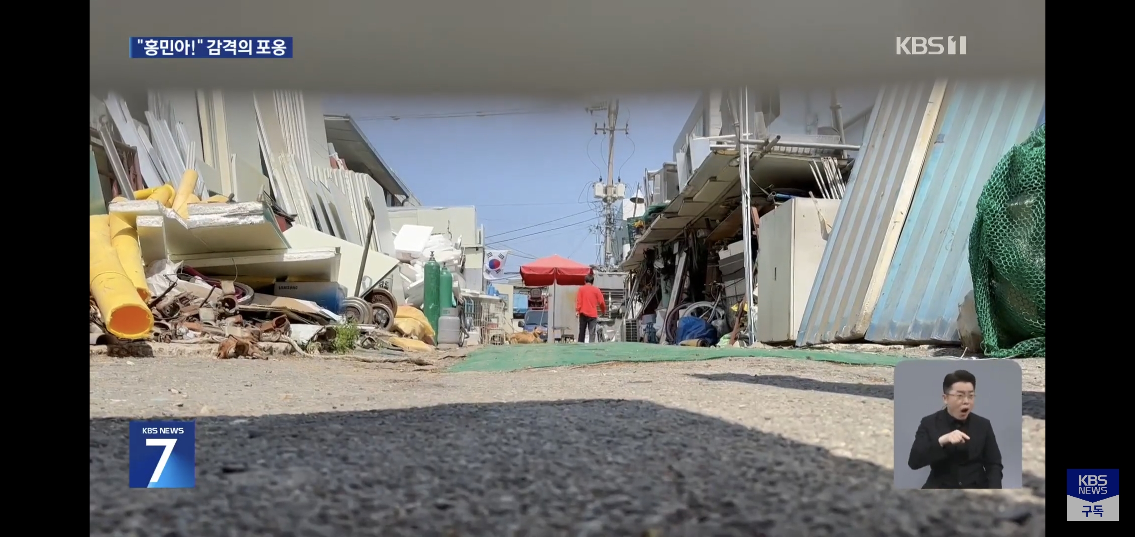 잃어버린지 41일만에 혼자 집 찾아 와 뉴스 탄 진돗개 손홍민이.jpg | 인스티즈