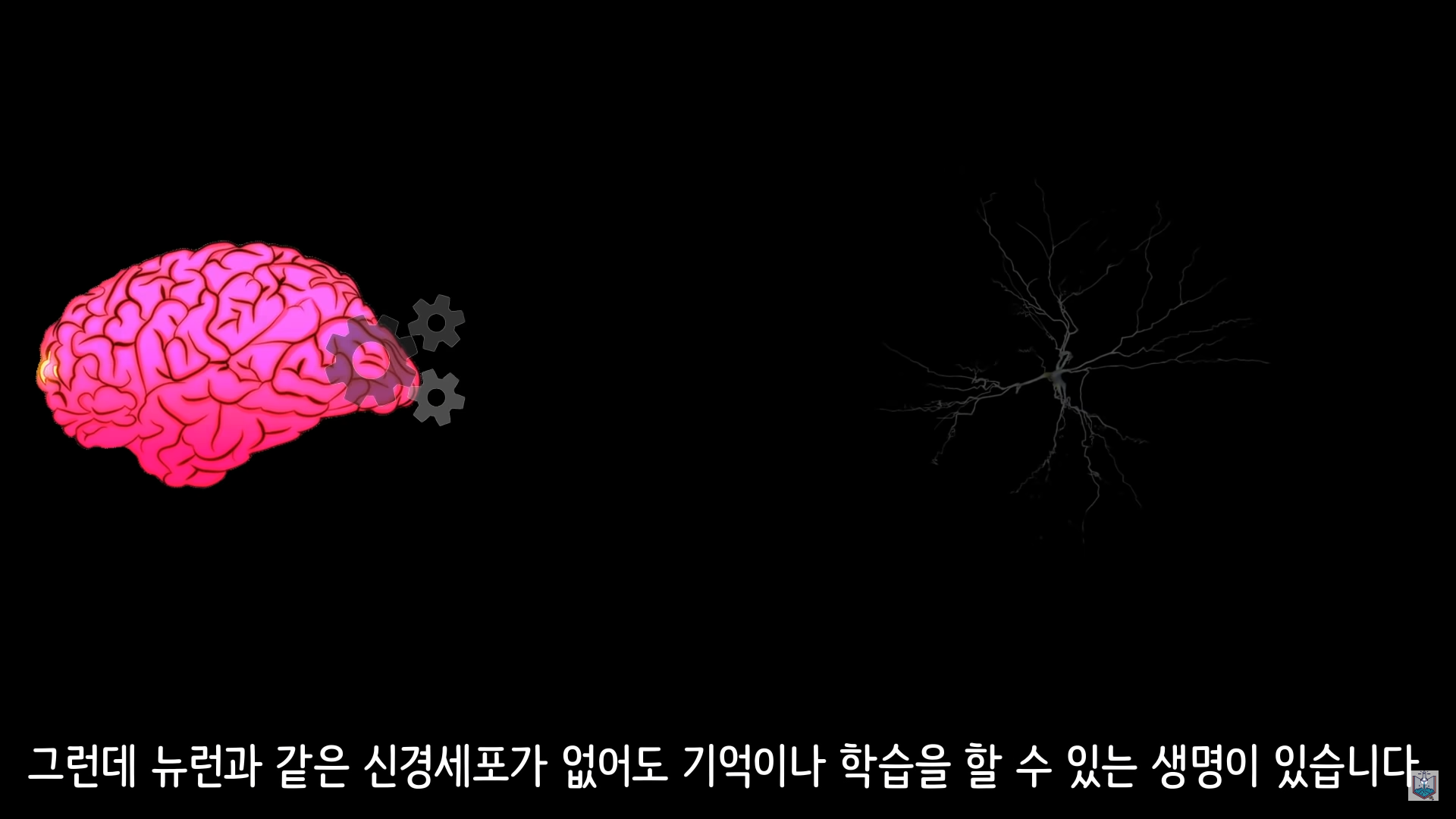 버섯이 단어와 문장을 사용해 서로 대화하고 있을지도 모른다고? | 인스티즈