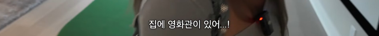 미국 거주 중인 가비의 이모할머니의 따님의 집.jpg | 인스티즈