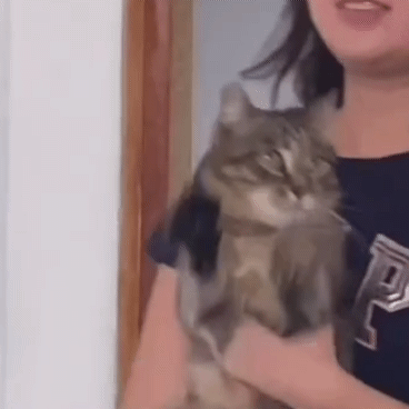 언니만 놀래키려 했는데 | 인스티즈