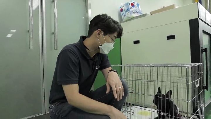 교통사고난 유기견 입양한 설채현 수의사 그리고 윙크 근황😉 | 인스티즈