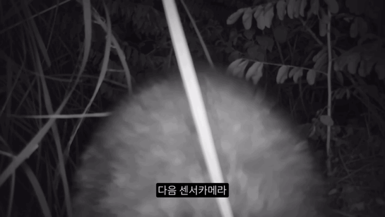 356652b31597e6b73c929eb67b0a6bff3b79e35f