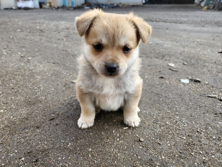 (공지라니... ++추가)새로생긴 회사 복지.. 미쳐서 도저히 일을 못하겠네.. (추가....)++추가 | 인스티즈