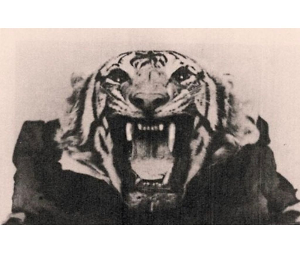 인도와 네팔을 다니며 약 400여명을 죽인 호랑이 | 인스티즈