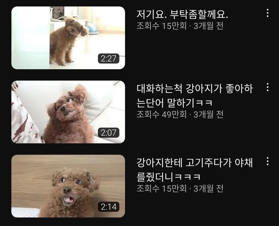 여전히 유튜브 썸네일 장인인 몽자 | 인스티즈