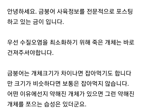 엄마집 금붕어들 보고가라 (이게 사랑이 아니면..) | 인스티즈