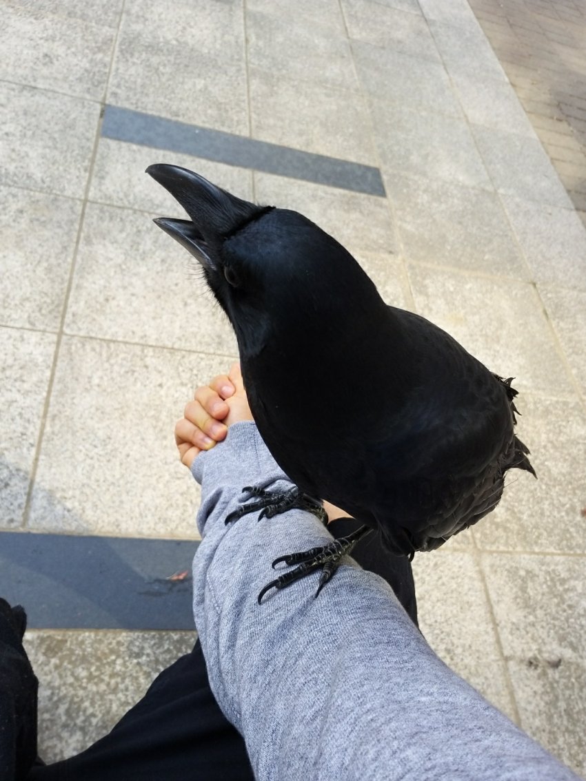 내 친구 ㅁㅌㅊ?.jpg | 인스티즈