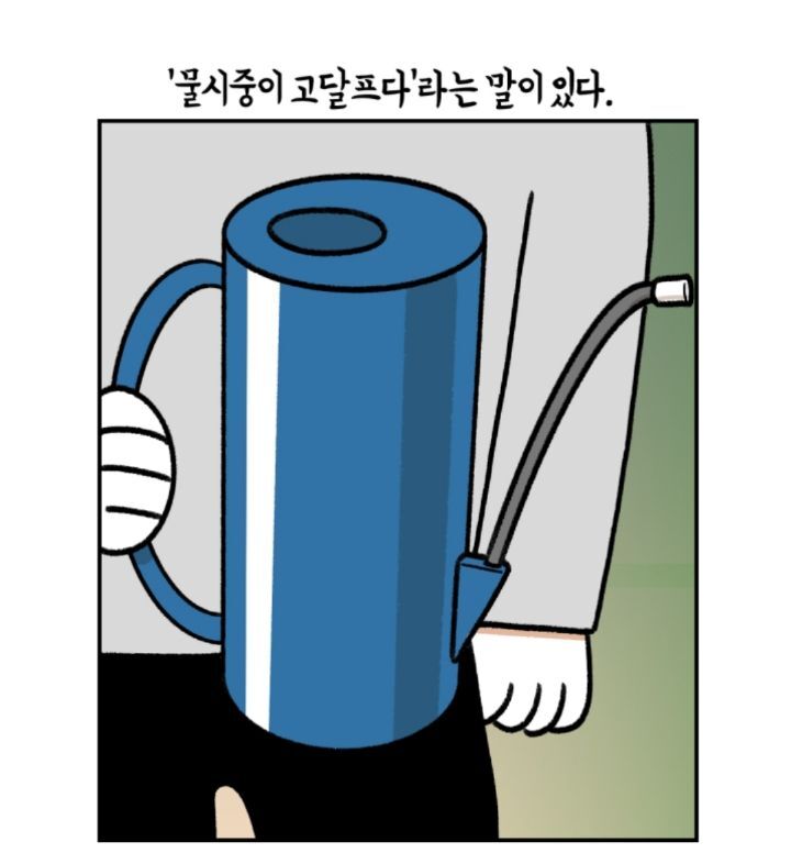 다육이 키우는 초보자들이 제일 많이 하는 실수 | 인스티즈