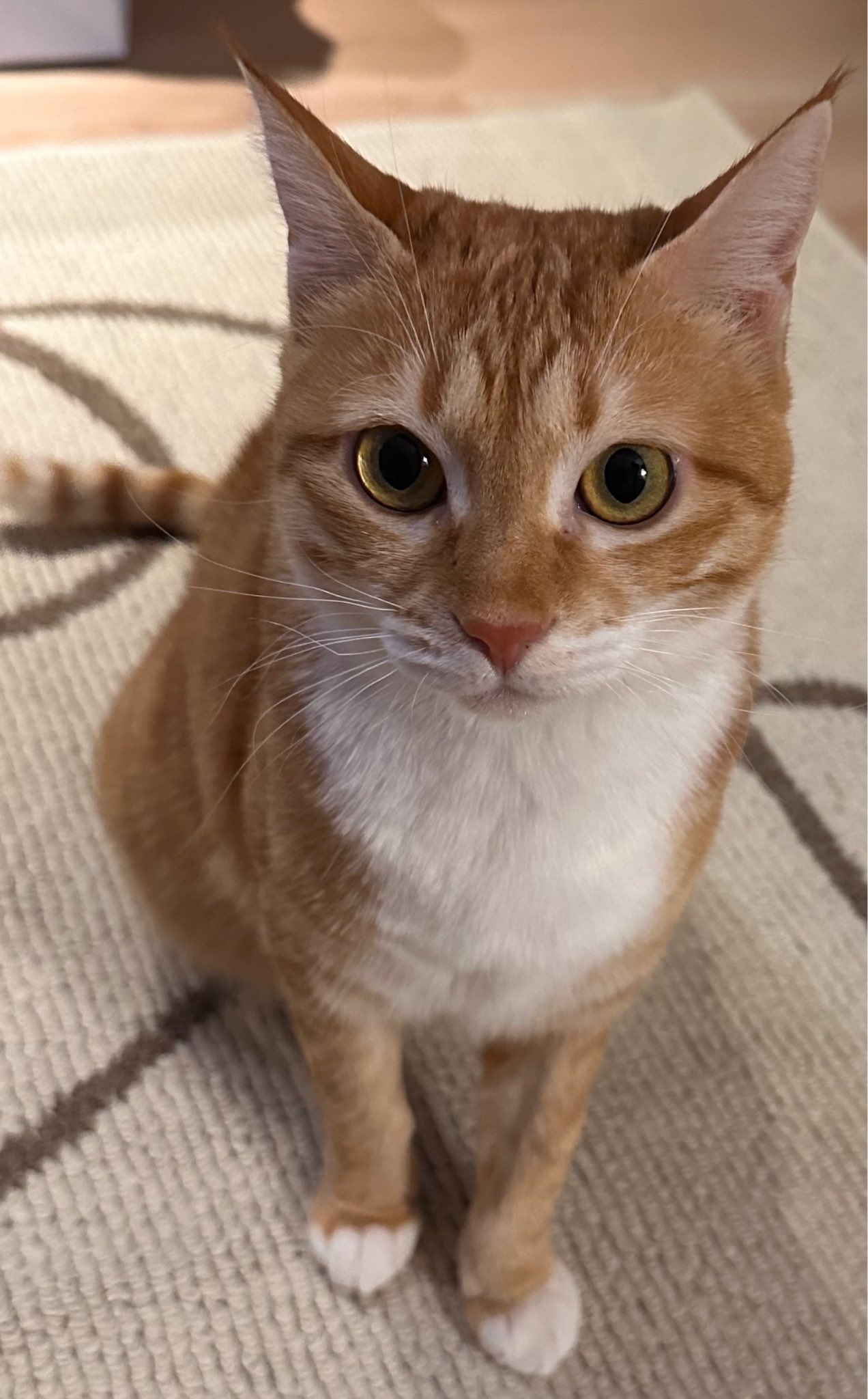 요즘 김혜윤 일상을 사로잡고 있다는 존재 | 인스티즈