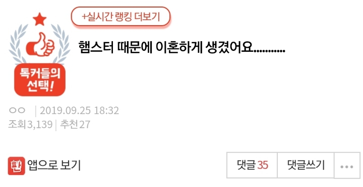 햄스터 때문에 이혼하게 생겼어요........... | 인스티즈
