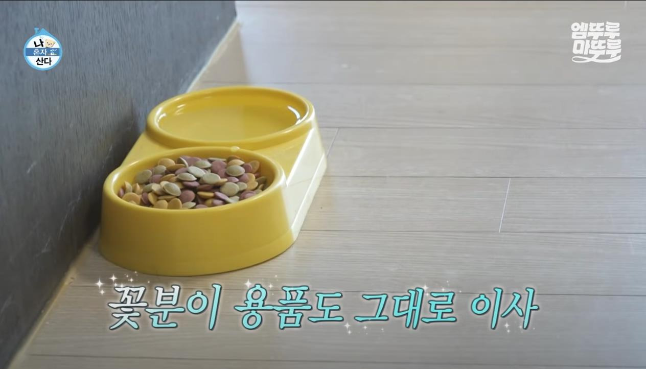 [나혼자산다] 정말 행복해 보이고, 낭만 미친 거 같은 구성환의 부산 한 달 살기 | 인스티즈