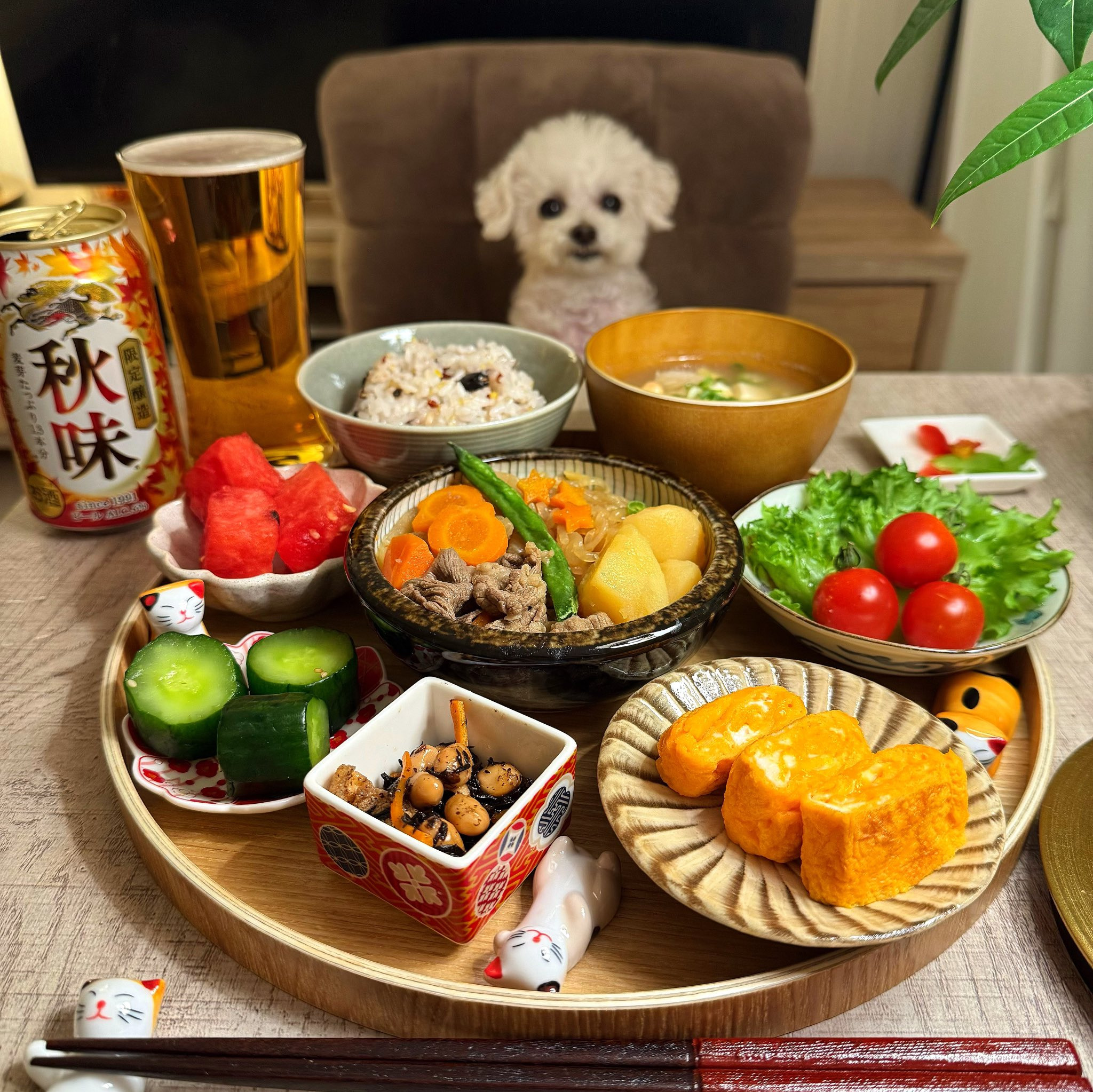 반려견과 함께 밥먹는 사진으로 화제된 트위터 계정.jpg | 인스티즈