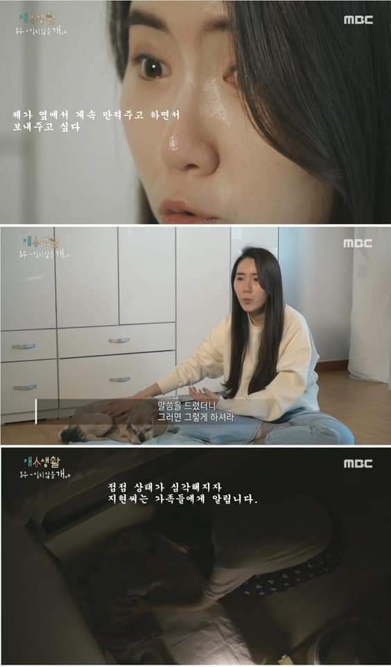 무지개 다리를 건넌다는 것 | 인스티즈