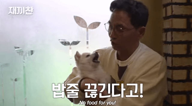 개농장에서 구출됐던 강아지 꽃님이의 버르장머리 없어진 최근 모습 | 인스티즈