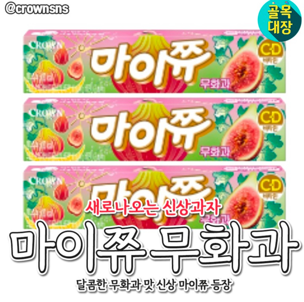 마이쮸 이미지
