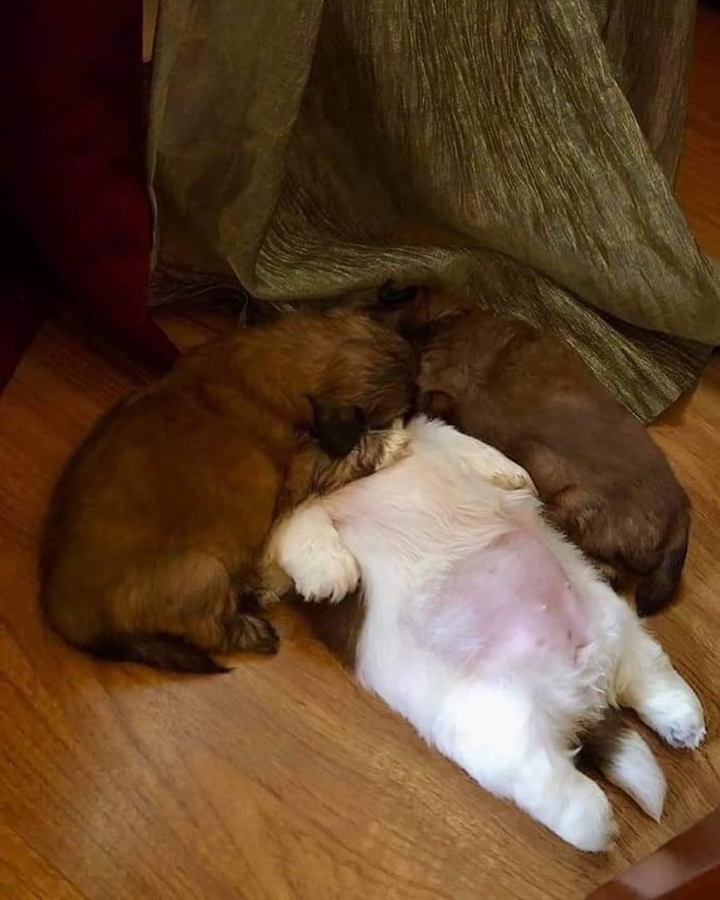 36541edba82a99d9963aef750ec90c77afbe79f1