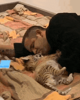 아기 호랑이랑 놀아주기.gif | 인스티즈