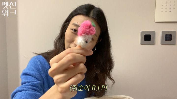집사들 고양이 장난감 왤케 많이 사는거야 | 인스티즈