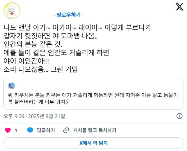 뭐 키우시는 분들 키우는 애가 거슬리게 행동하면 원래 지어준 이름 말고 동물이름 불러버리는게 너무 귀여움 | 인스티즈