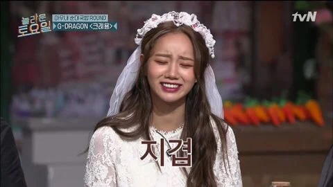 업그레이드된 중국인/조선족 퇴치문구 | 인스티즈