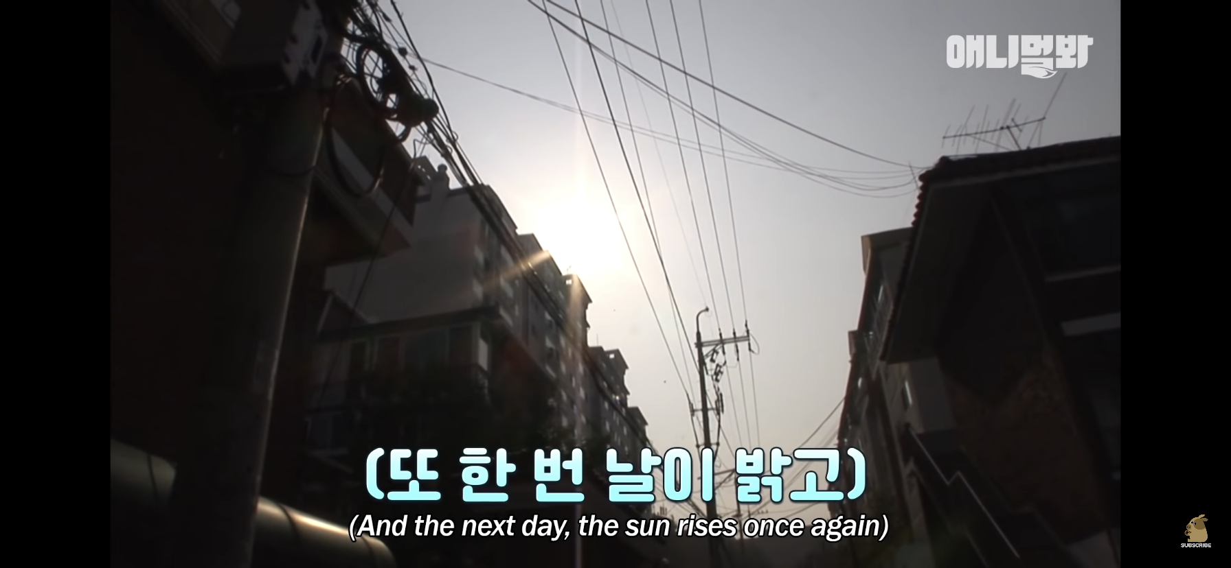 길고양이 목에 쪽지를 달자 생긴 영화같은 일 | 인스티즈