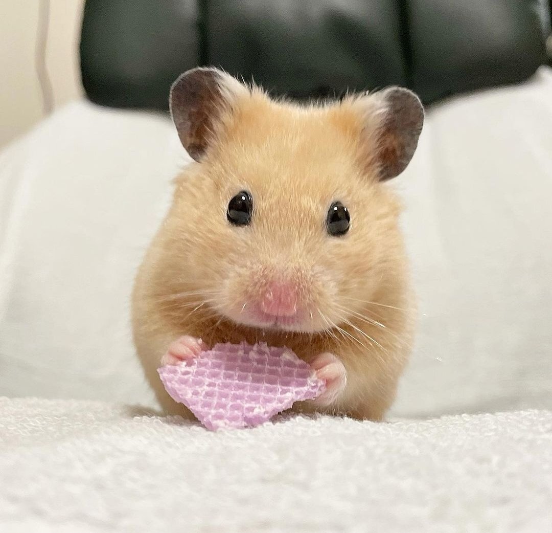 뵤뵤뵤뵤뵤뵤뵤뵤뵤뵤뵤뵤뵤뵤뵤뵤뵤뵤뵤뵤뵤뵤뵤뵤뵤뵤뵤뵤뵤뵤뵤뵤 | 인스티즈