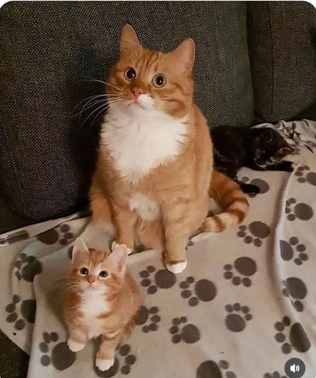 누가봐도 얘가 얘 낳음 | 인스티즈