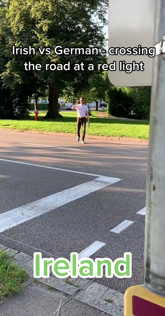 횡단보도에서 차도 없는데 초록불로 바뀔 때까지 기다린다고...??? | 인스티즈