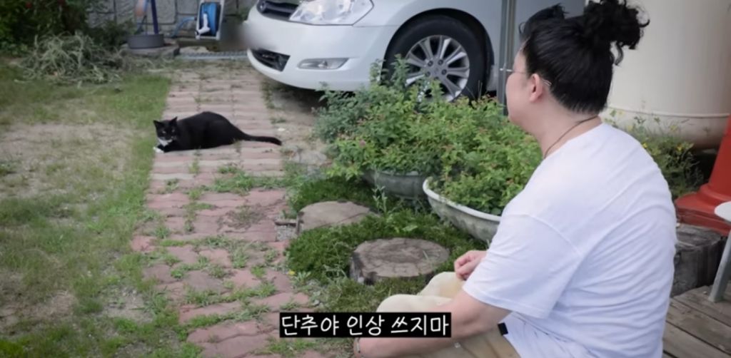 신발 물어 뜯은 고양이 찾아간 이영자 | 인스티즈