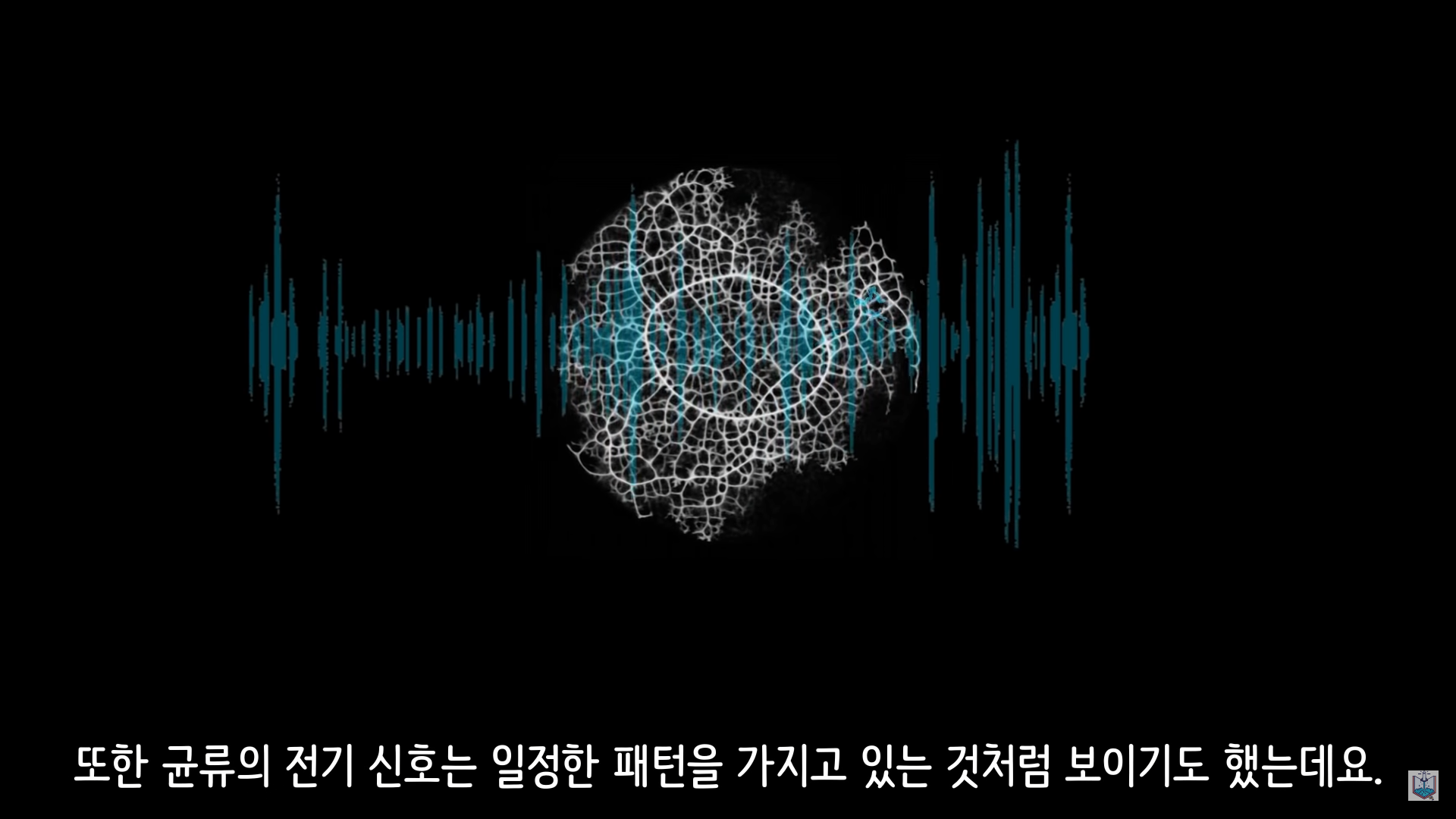 버섯이 단어와 문장을 사용해 서로 대화하고 있을지도 모른다고? | 인스티즈
