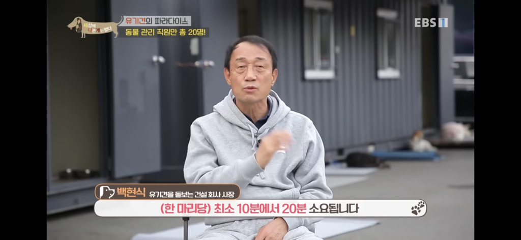 [세상에나쁜개는없다] 유기견의 파라다이스 | 인스티즈