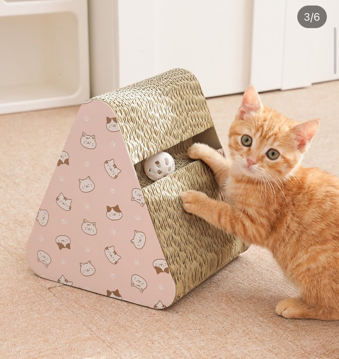 다이소 펫 용품 신상.jpg | 인스티즈