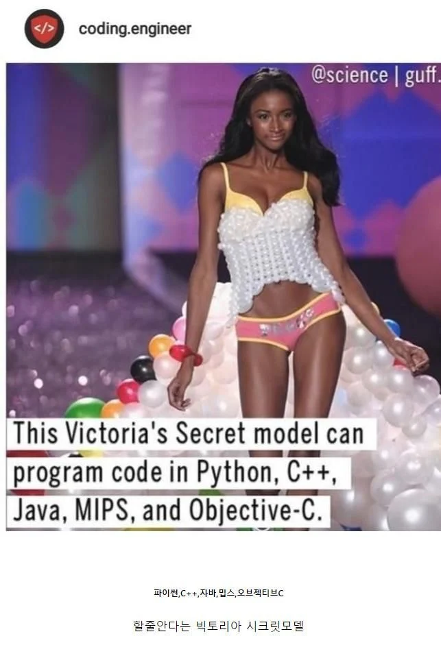 취미로 빅토리아 시크릿 모델하는 프로그래머...jpg | 인스티즈