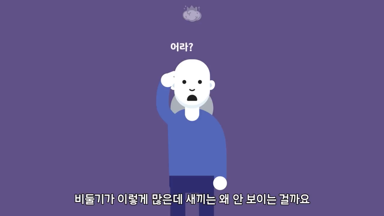거리에 비둘기가 이렇게 많은데 왜 새끼 비둘기는 안 보일까? | 인스티즈
