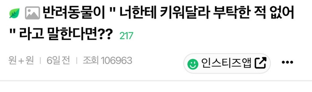 반려동물이 "너한테 키워달라 부탁한 적 없어” 라고 말한다면?? | 인스티즈
