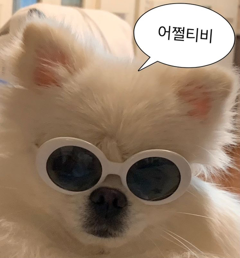 아 진짜 혹시나 해서 문상훈짤 | 인스티즈