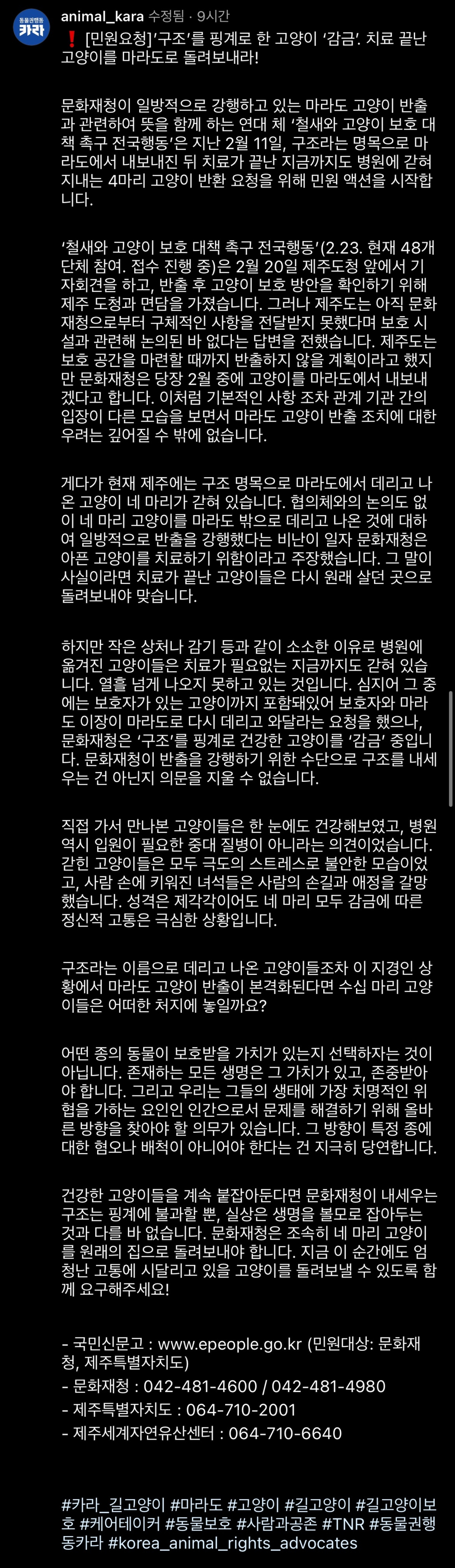 주인도 있는 마라도 고양이가 강제 방출 되어 열흘 넘게 갇혀 있는 중 | 인스티즈