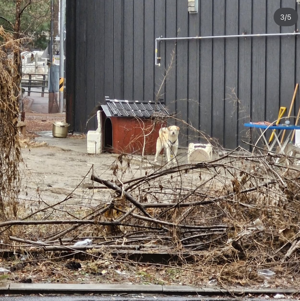 이사건 알아??정말 황당함ㅋㅋㅋㅋ | 인스티즈