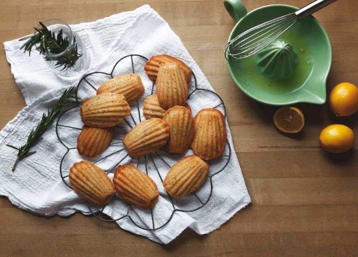 마들렌 Madeleine | 인스티즈