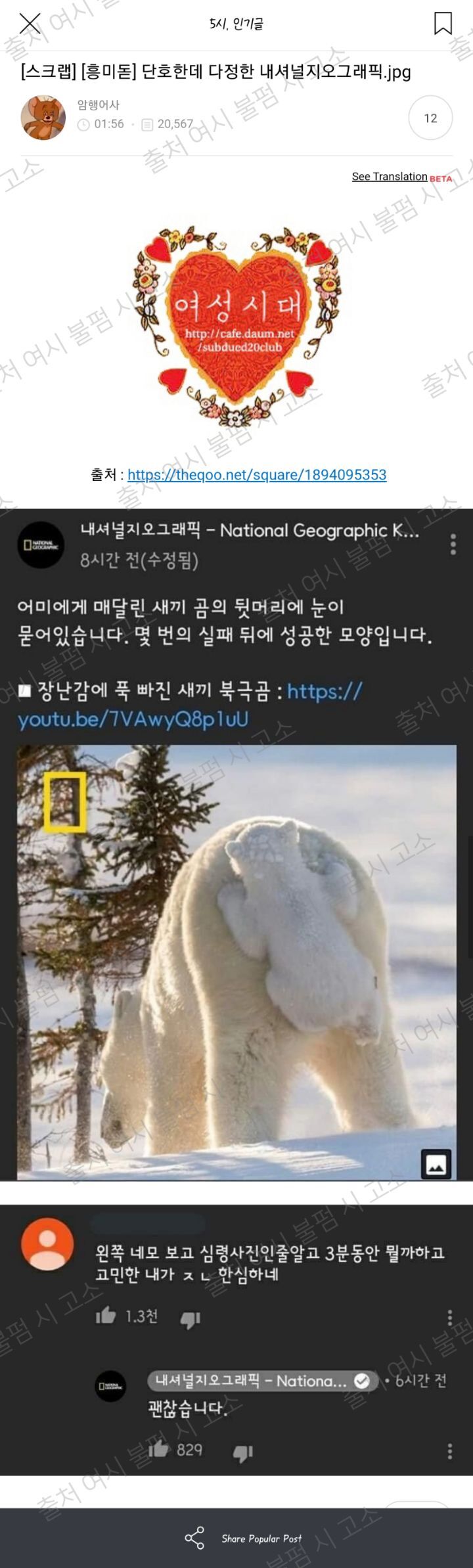 갤러리 짤털 짤털 짤털 짤털 짤털 짬털 (100장 깍 채움) | 인스티즈