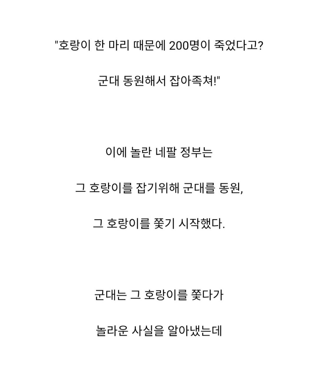 인도와 네팔을 다니며 약 400여명을 죽인 호랑이 | 인스티즈