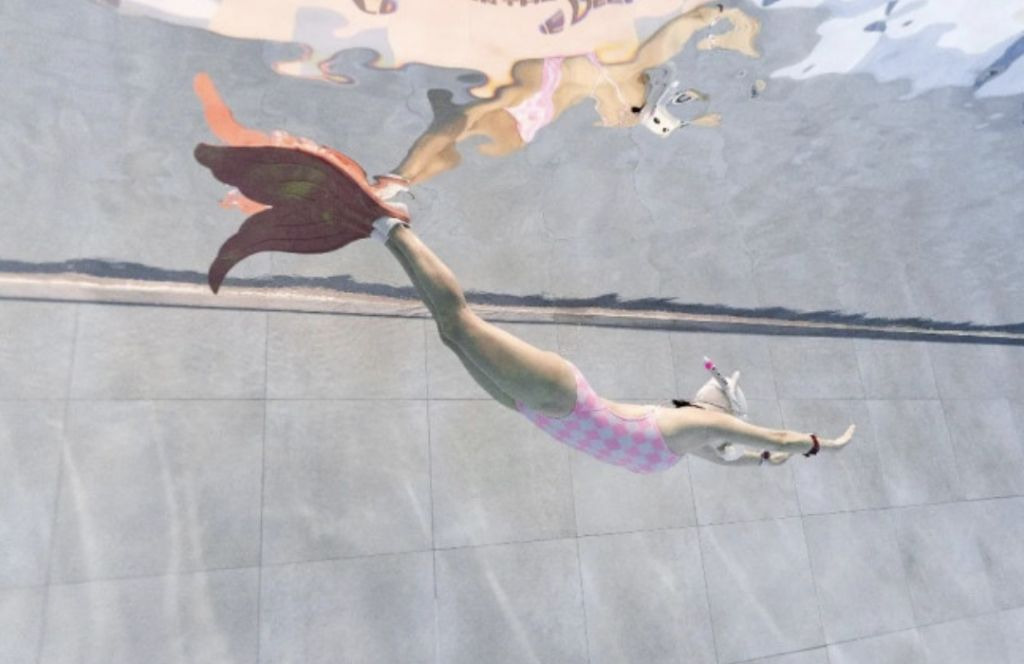 프리다이빙 배우고 넘어간다는 취미 머메이드 다이빙 | 인스티즈