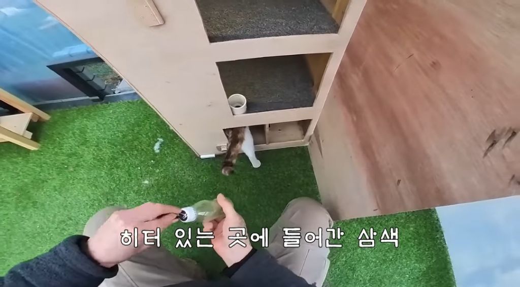 [haha ha] 하지 말라는 것만 골라서 하는 삼쪽이 | 인스티즈