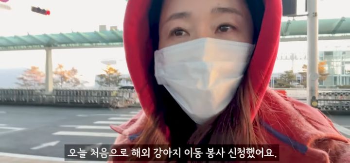 이효리 캐나다체크인보고 유기견 이동봉사 신청한 배우 엄지원 | 인스티즈