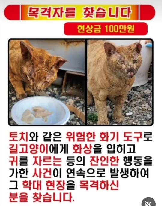 강서방사 이미지