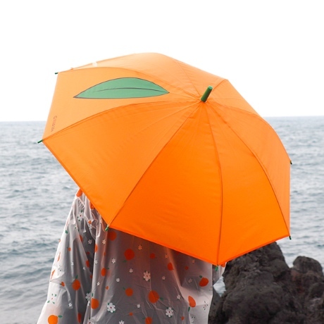 제주도 감귤 아이템🍊.jpg | 인스티즈