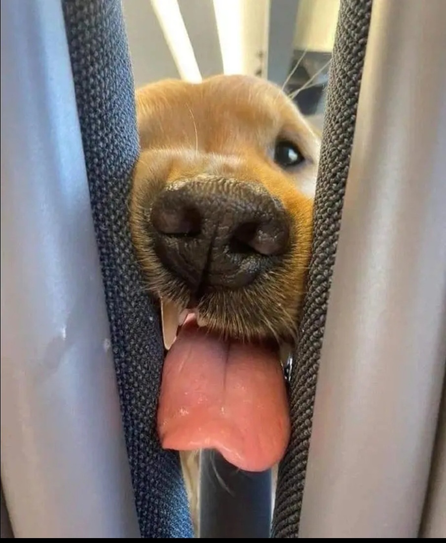 앞자리에 앉은 진상 손님 | 인스티즈