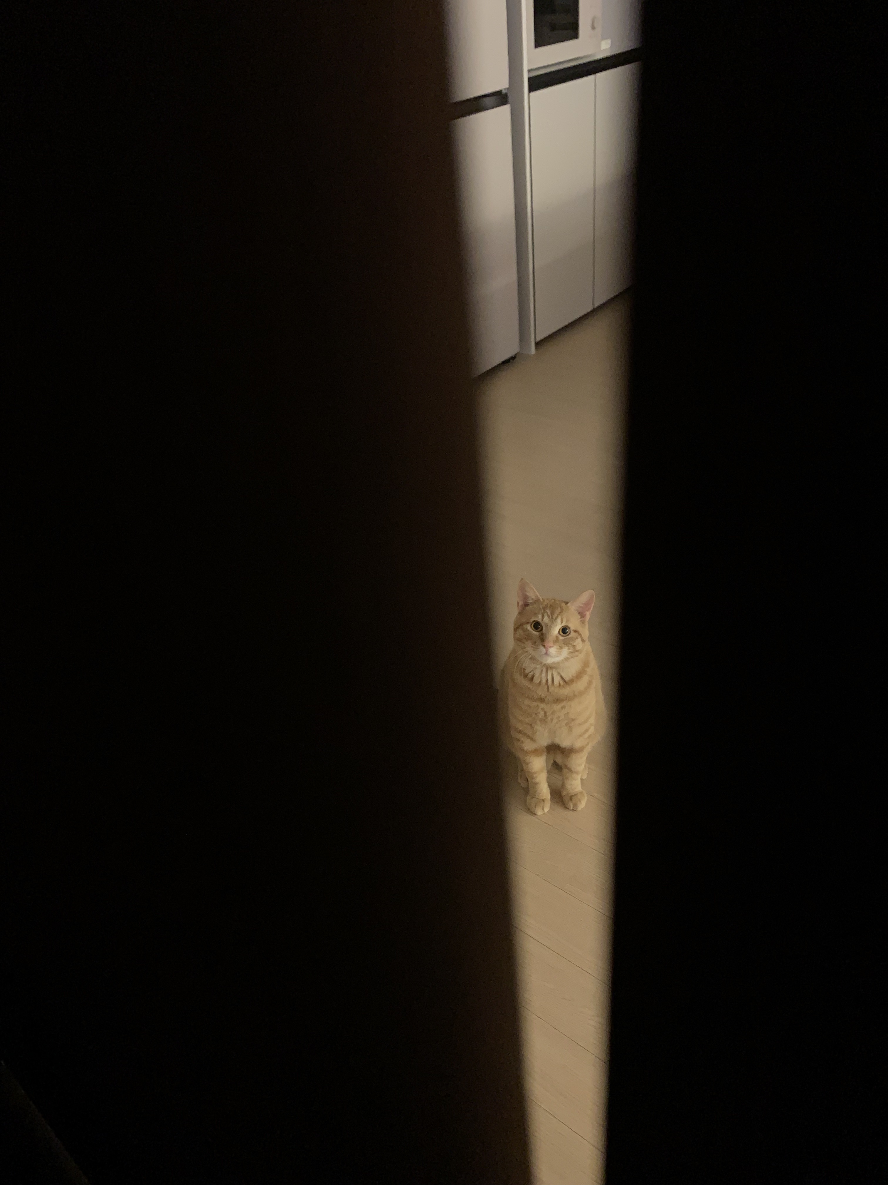 우리애기 어뜩하지;; | 인스티즈