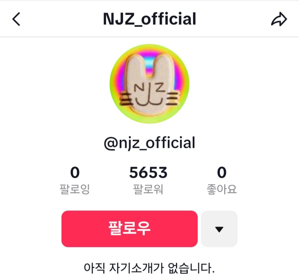 새로운 공식 계정들 다 개설한 NJZ(뉴진스) | 인스티즈