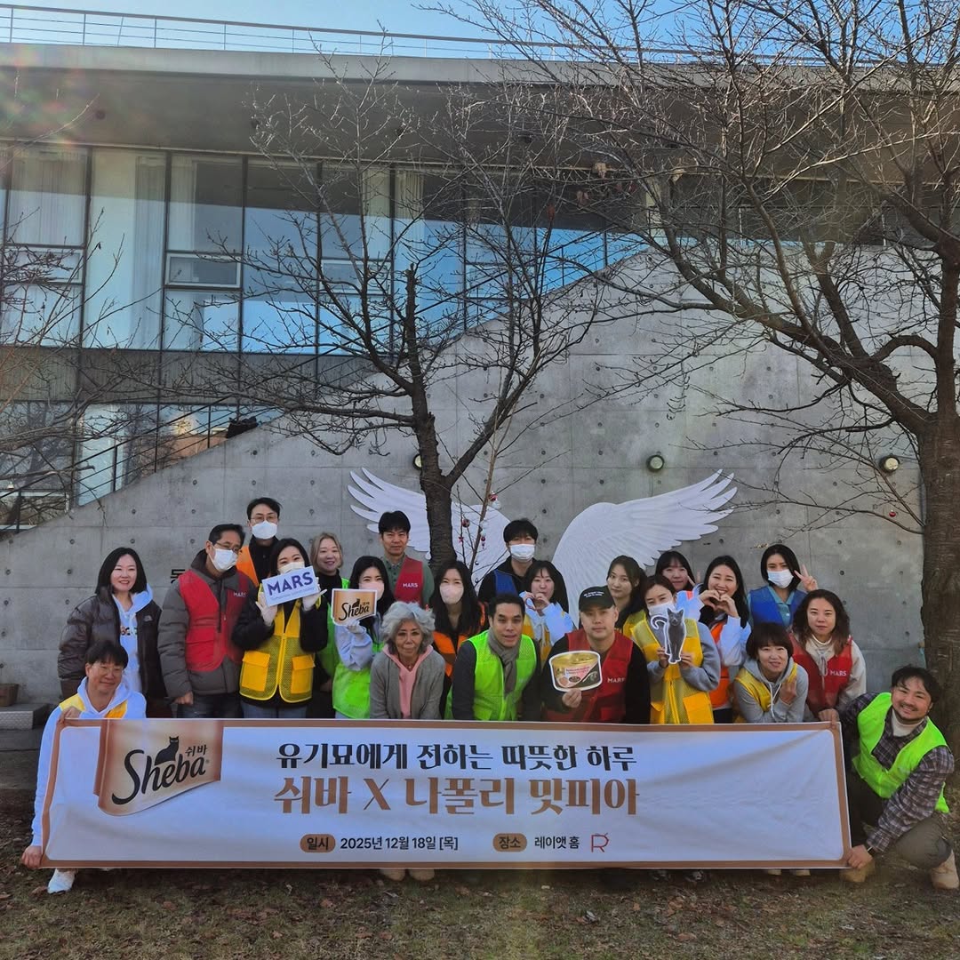 유기묘 보호소에 간식+사료 기부한 나폴리 맛피아 | 인스티즈